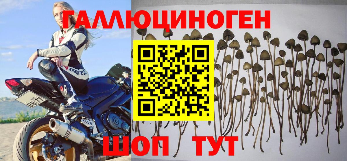 Псилоцибиновые грибы ЛСД  Вход с VPN  Менделеевск 